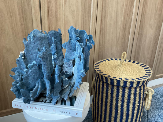 Blue Ridge Coral Fossil Specimen: 12" x 9" x 10" Coastal Beach House Décor