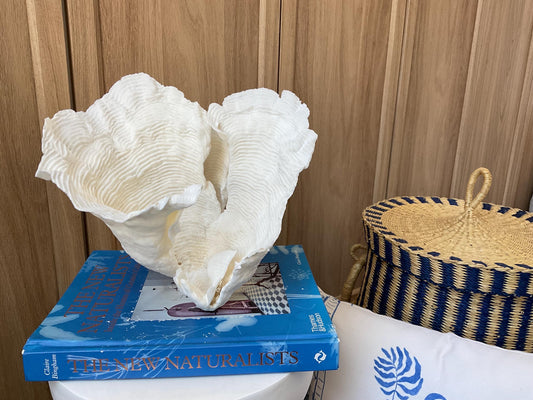 Cup Rugosa Coral Fossil Specimen: 9” x 8.5” x 8.5” Coastal Beach House Décor