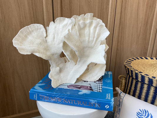 Cup Rugosa Coral Fossil Specimen: 12.5” x 9” x 6” Coastal Beach House Décor