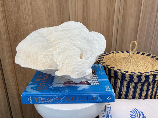 Natural Spiral Cup Coral Fossil: 11" x 8" x 7" Coastal Beach House White Décor