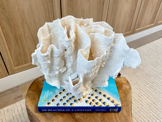 Natural Rugosa Coral Fossil Specimen: 10"x9.5"x7.5" Coastal Beach Home Décor