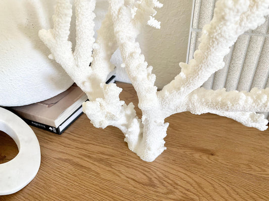 Branch Coral Fossil Specimen: 13.75" x 13"x 9.5" Coastal Beach House Décor