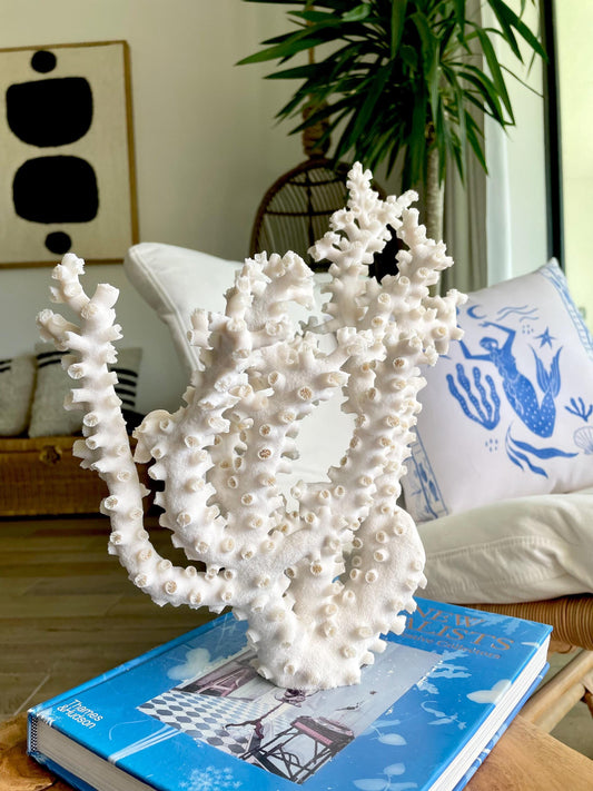 Natural Octopus Coral Fossil Display: 13"x12"x5" Coastal Beach Home Décor