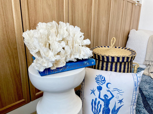 Natural Lettuce Coral Fossil: 15" x 13" x 6.5" Coastal Beach House White Décor