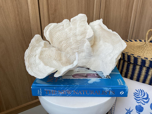 Cup Rugosa Coral Fossil Specimen: 10.5” x 7” x 8” Coastal Beach House Décor