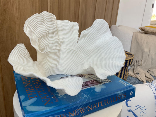 Cup Rugosa Coral Fossil Specimen: 11” x 6” x 7” Coastal Beach House Décor