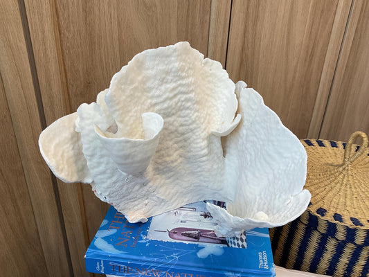 Natural Spiral Cup Coral Fossil: Coastal Beach House White Decor (12.5" x 11")