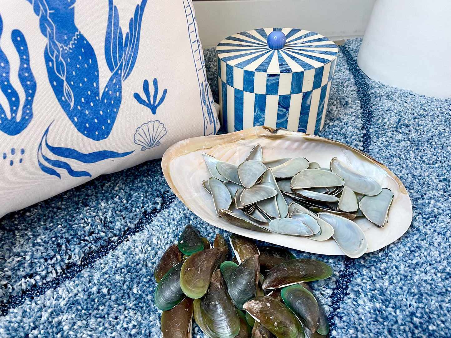 Light Blue Mussel Shells: 1.5-2.5" *200 Pieces* Craft Seashells