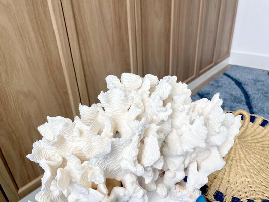 Natural Rugosa Coral Fossil Specimen: 12" x 8.5" x 6.5" Coastal Beach Home Décor