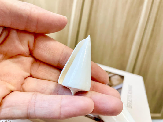 Pure White Natural Cone Shells: 1.5-2.5" You Choose Size, Craft Jewelry Supply Seashell