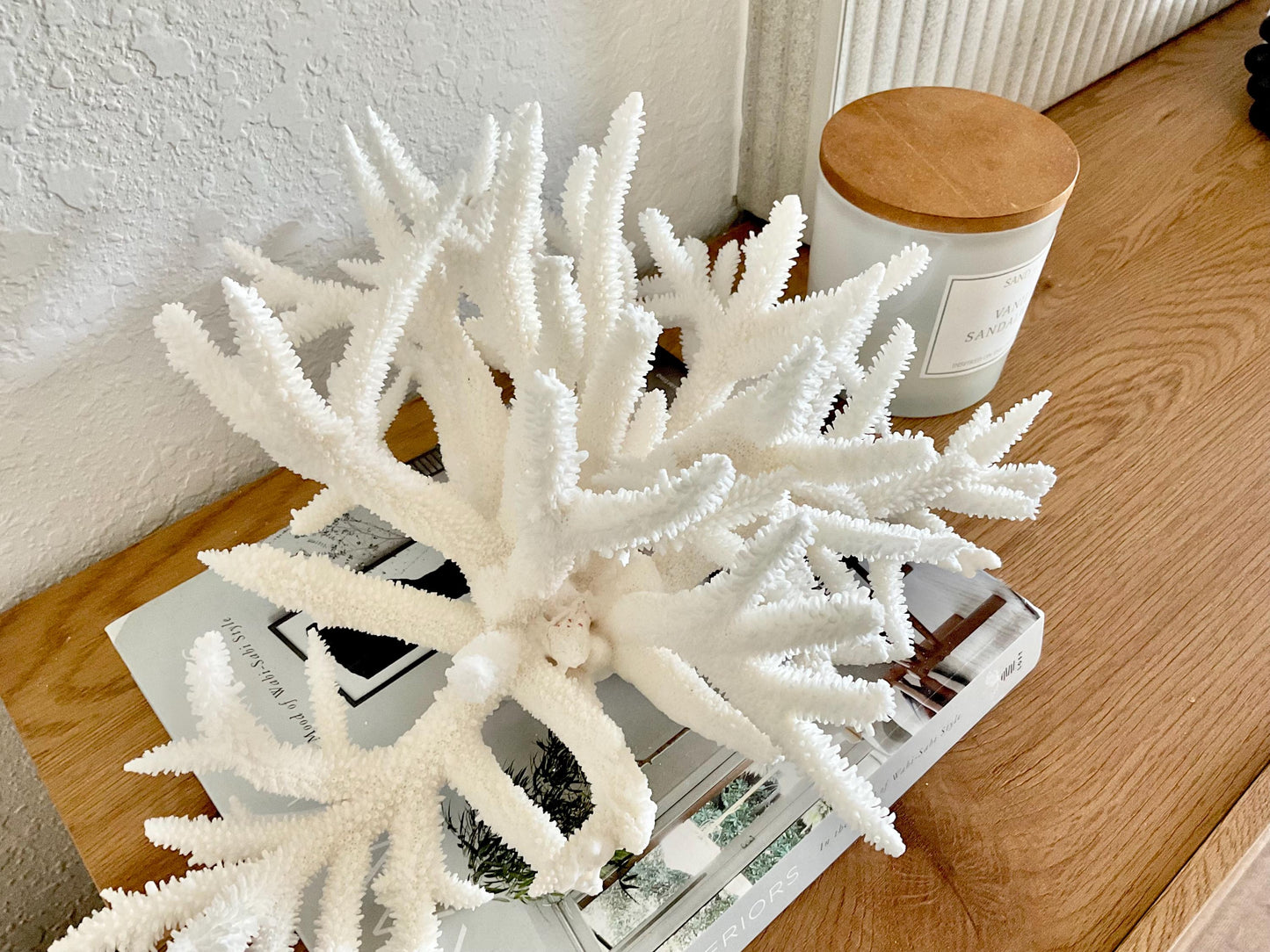 Extra LARGE 100% Natural Oversized BRANCH Coral Fossil 15" x 12" x 8.5" XL Specimen Coastal Display Beach House Décor Centerpiece White