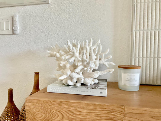 Extra LARGE 100% Natural Oversized BRANCH Coral Fossil 15.5" x 12" x 10" XL Specimen Coastal Display Beach House Décor Centerpiece White