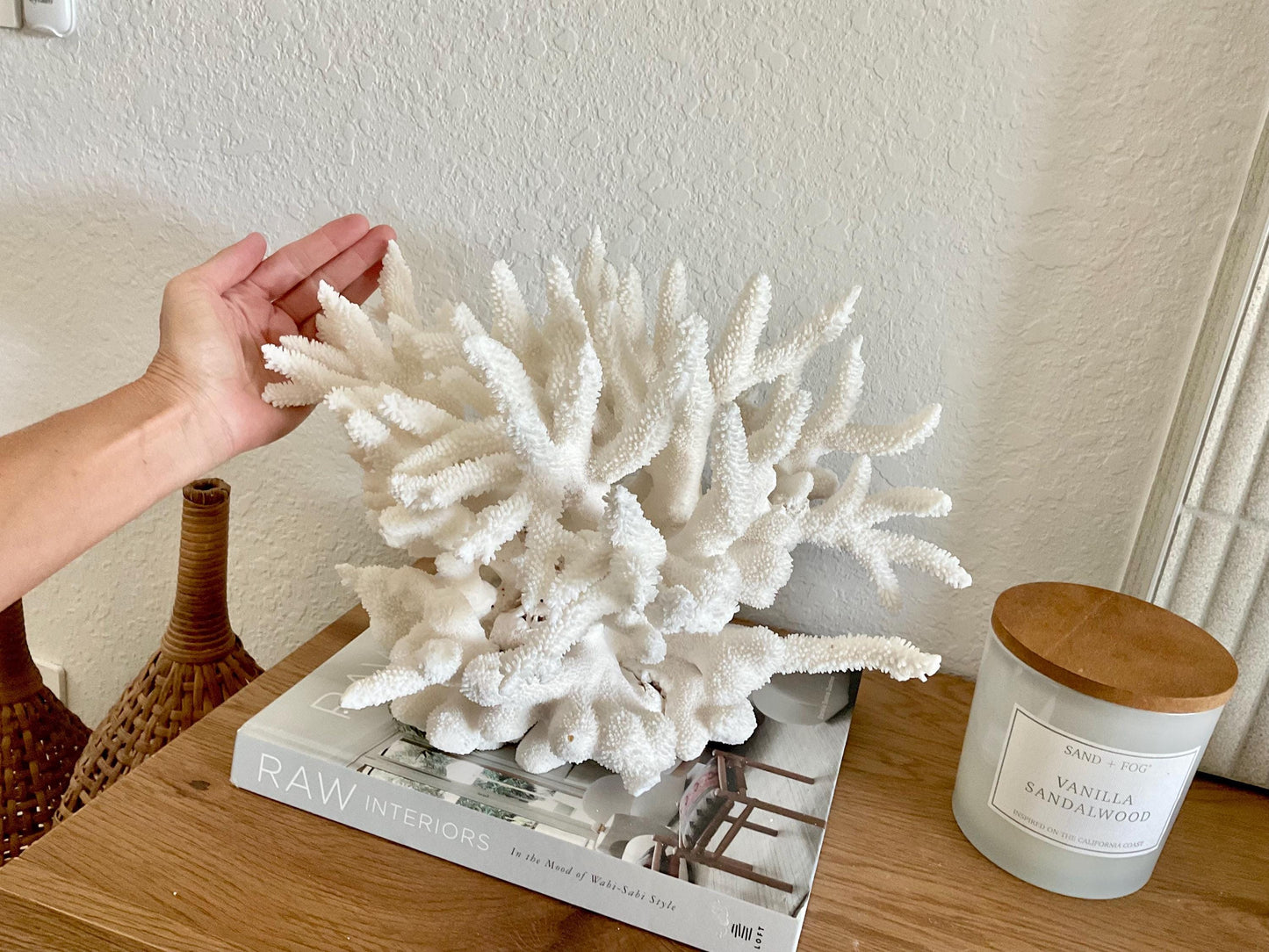 Extra LARGE 100% Natural Oversized BRANCH Coral Fossil 15.5" x 12" x 10" XL Specimen Coastal Display Beach House Décor Centerpiece White
