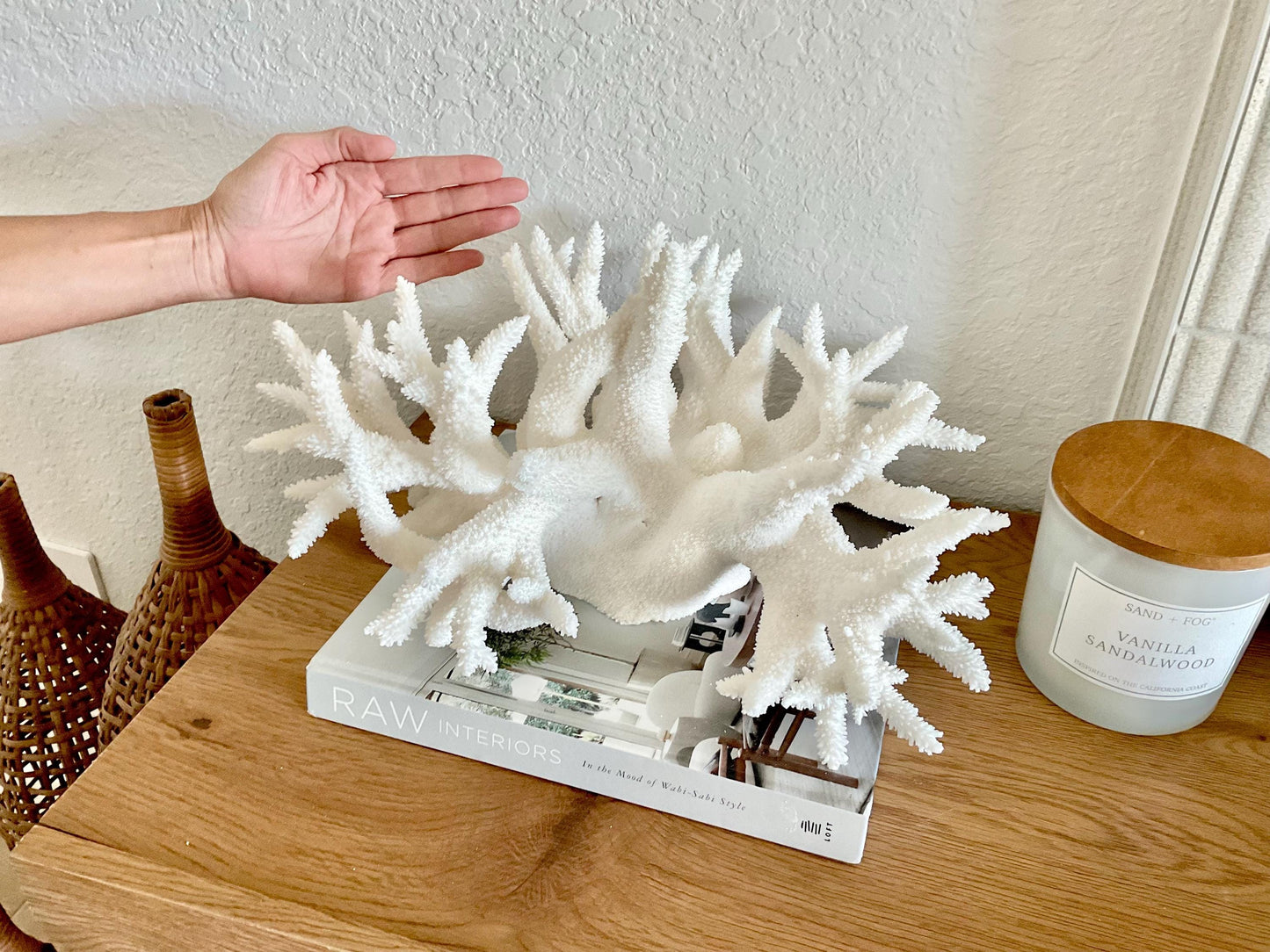 Extra LARGE 100% Natural Oversized BRANCH Coral Fossil 17" x 12" x 9" XL Specimen Coastal Display Beach House Décor Centerpiece White