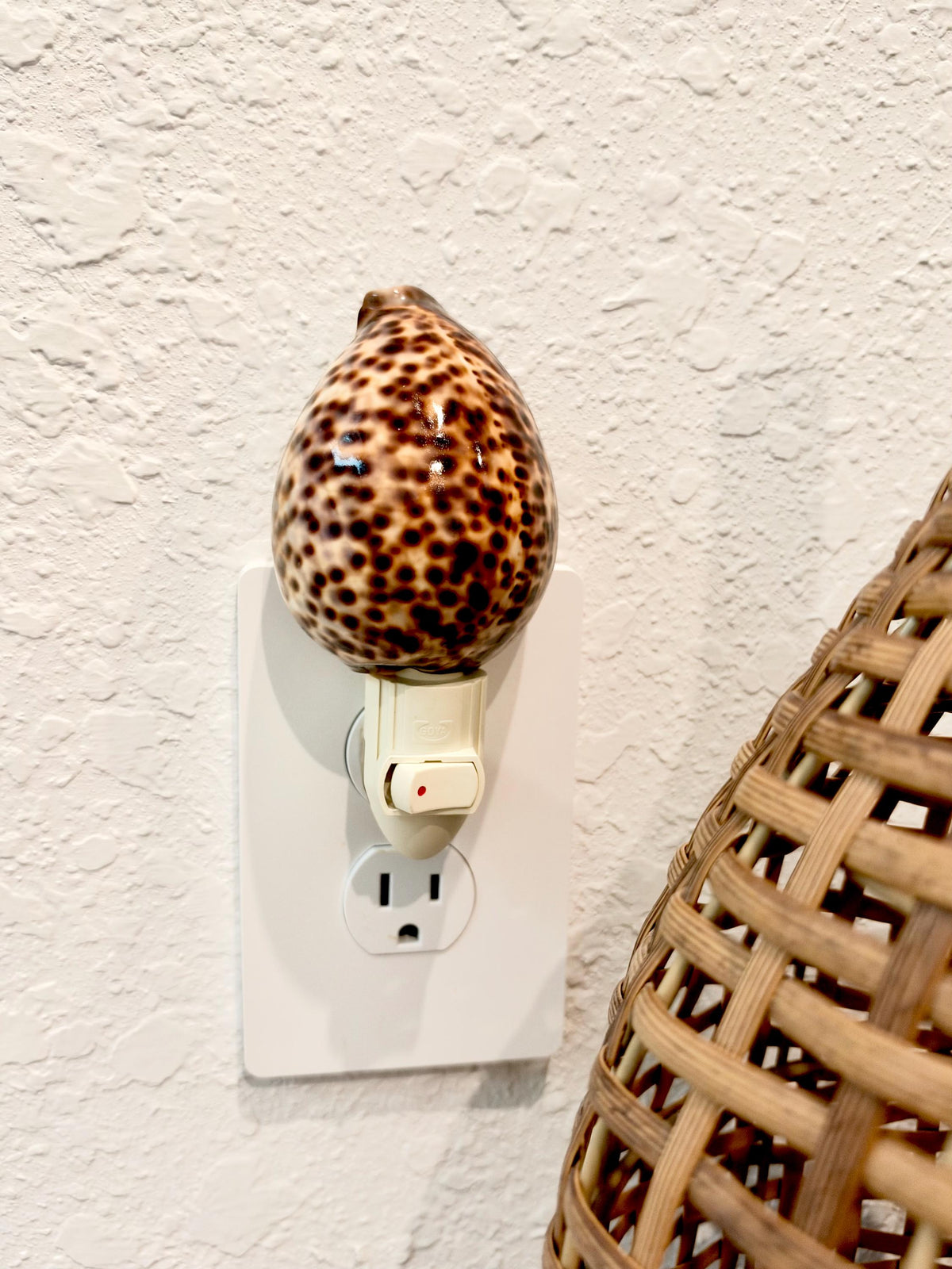 Authentic Tiger Cowrie Shell Night Light 5": Wall Plug-in Natural Seashell Décor