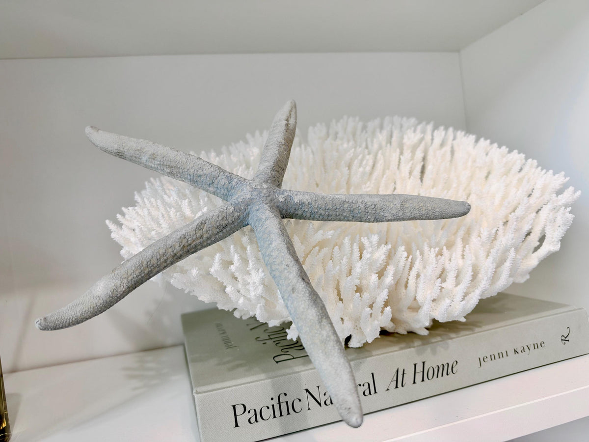 Blue Linckia Natural Preserved Starfish 9-10" Coastal Beach Home Décor & Crafts