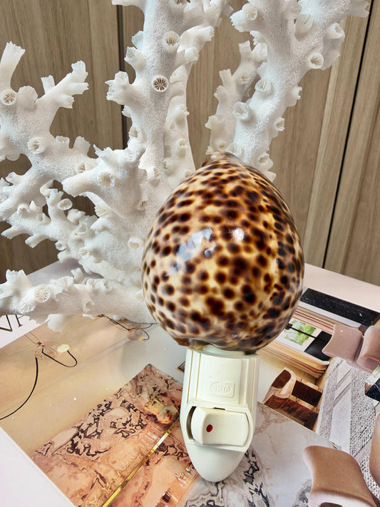 Authentic Tiger Cowrie Shell Night Light 5": Wall Plug-in Natural Seashell Décor