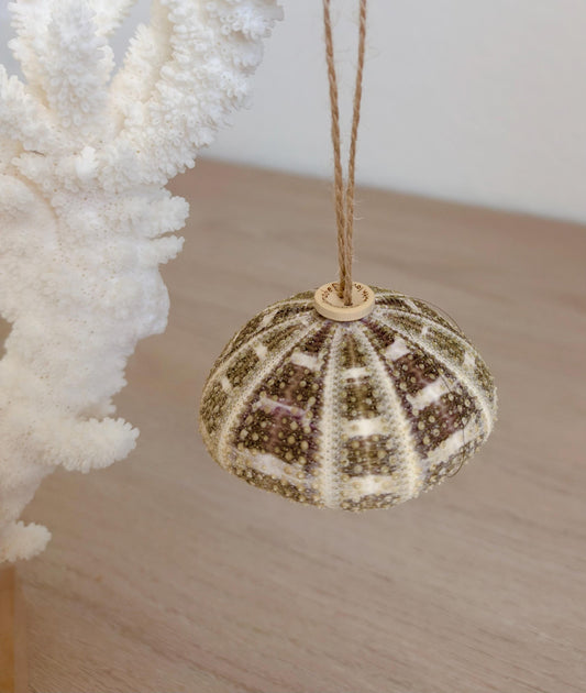 Handmade Alfonso Sea Urchin Ornaments: Set of 5, Natural Seashell Christmas Tree Decoration