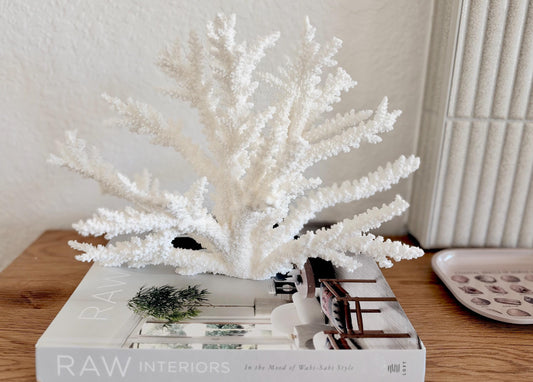 Branch Coral Fossil Specimen: 14.5" x 9.75"x 6" Coastal Beach House Décor