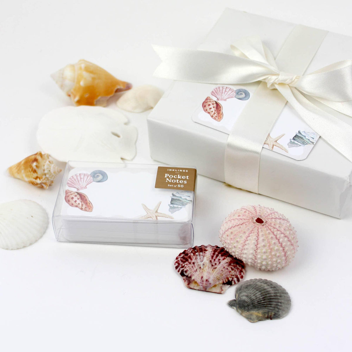 Seashell Notecards: Set of 50, Coastal Gift