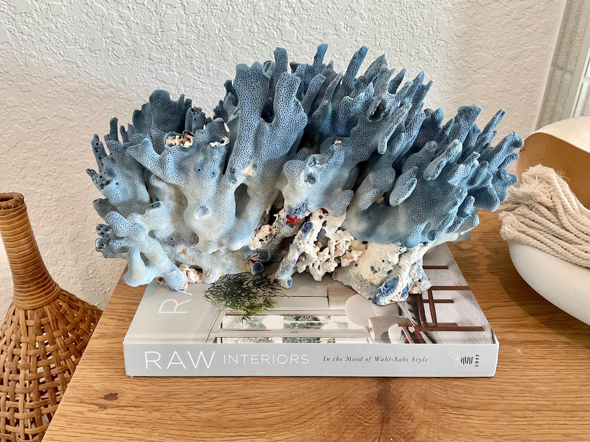 Blue Ridge Coral Fossil Specimen: 14" x 9" x 8” Coastal Beach House Décor