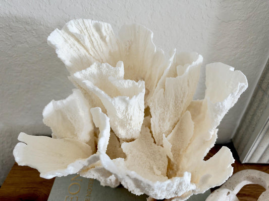 Natural Poca Coral Fossil: 10" x 9.5" x 8.5" Coastal Beach House White Décor