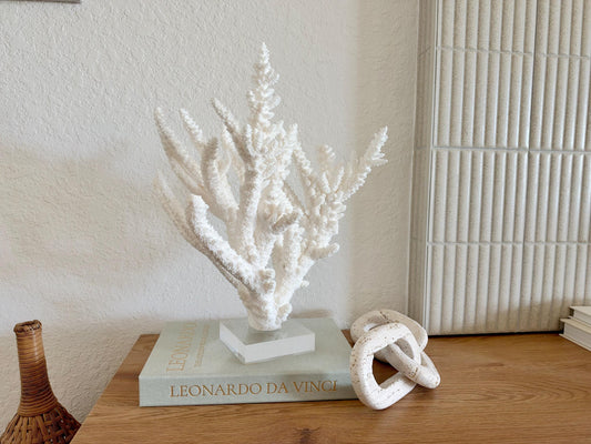 Real Branch Coral Fossil Specimen: 15.25" x 12" x 7.25" Coastal Décor (Lucite Mount)
