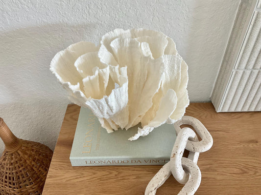 Natural Poca Coral Fossil: 11" x 10" x 9" Coastal Beach House White Décor