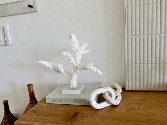 Real Branch Coral Fossil Specimen: 14.75" x 13" x 7.5" Coastal Décor (Lucite Mount)