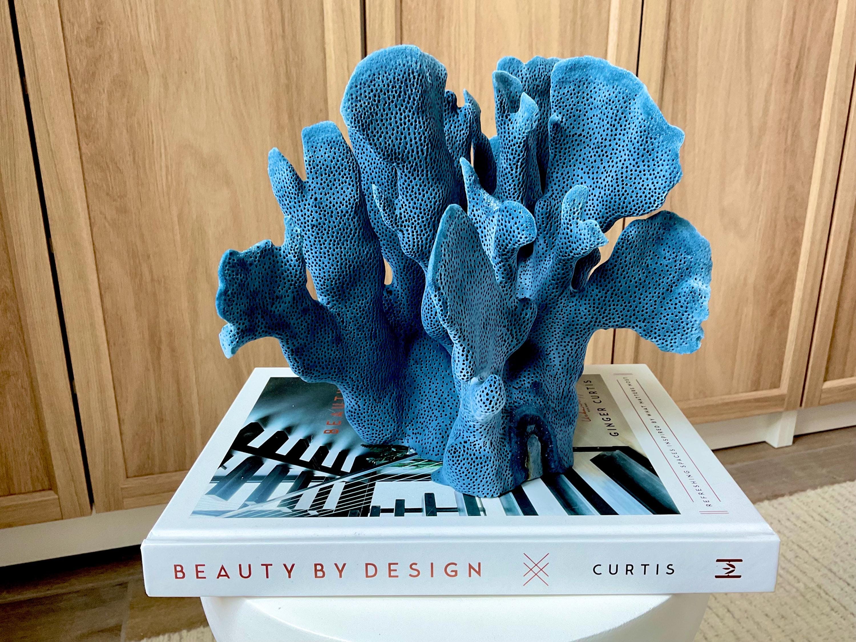 Shell Blue Ridge Blue Ridge – Sanibel Coral and Shells