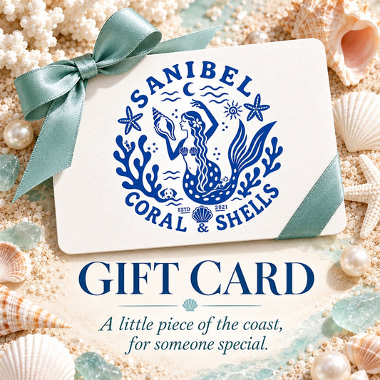 Sanibel Coral & Shells Gift Card
