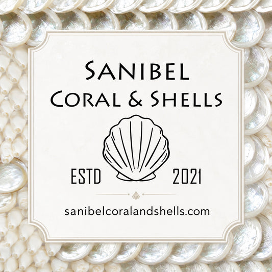 Sanibel Coral & Shells Gift Card