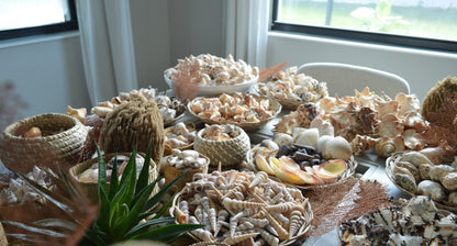 Handpicked Sanibel Captiva Seashell Mix * You choose Weight* Coastal Home Décor