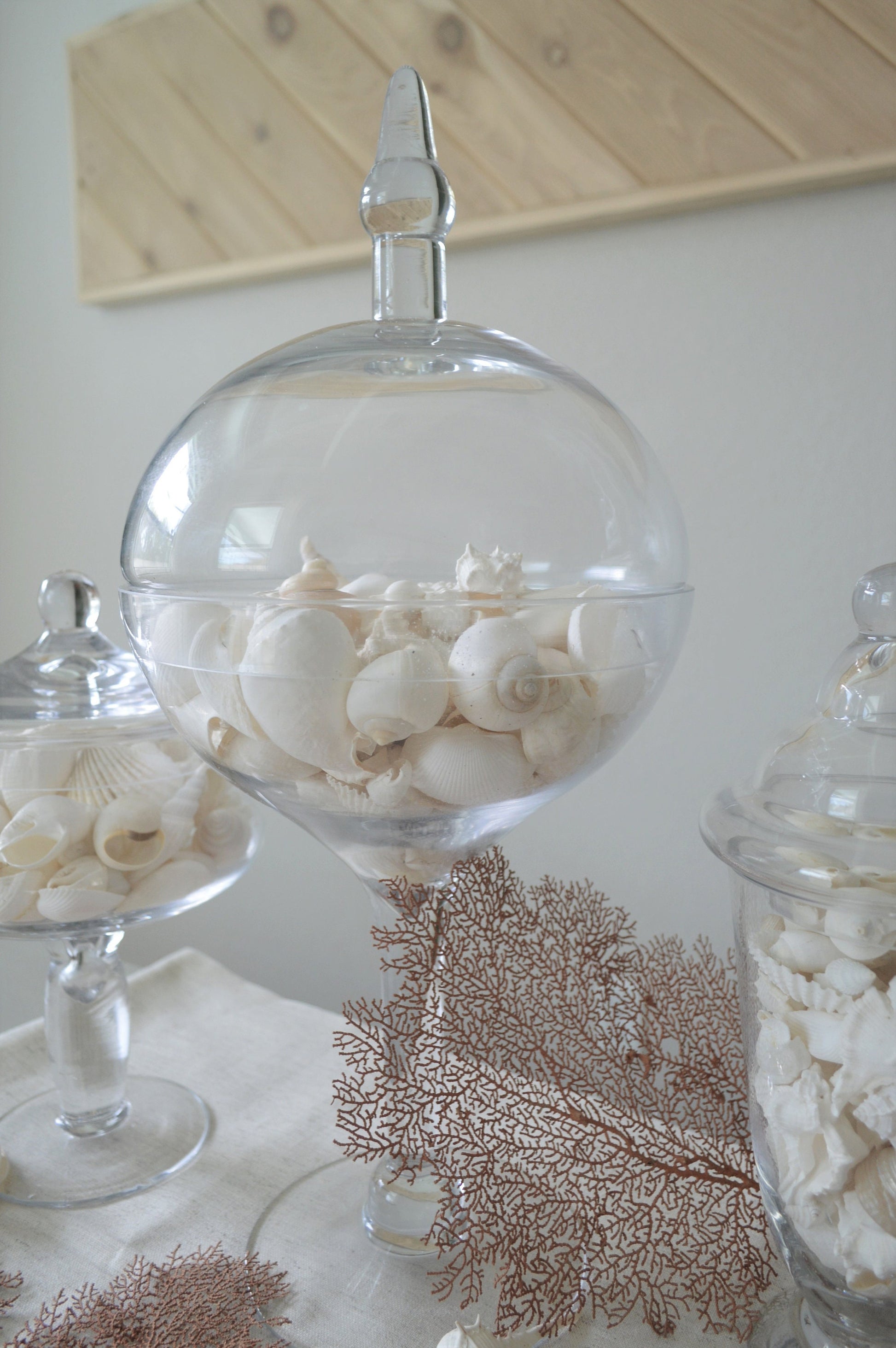 WHITE WEDDING SHELLS *You Choose Quantity* Assorted Types and Sizes .5-3" Craft Seashells Coastal Beach Home Décor Bulk
