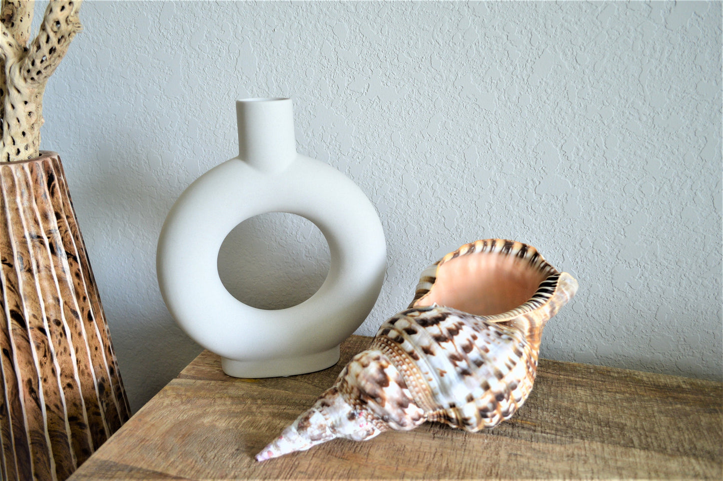 CARIBBEAN TRITON TRUMPET *All Sizes* Natural Brown White Pattered Display Seashell Coastal Beach Home Décor