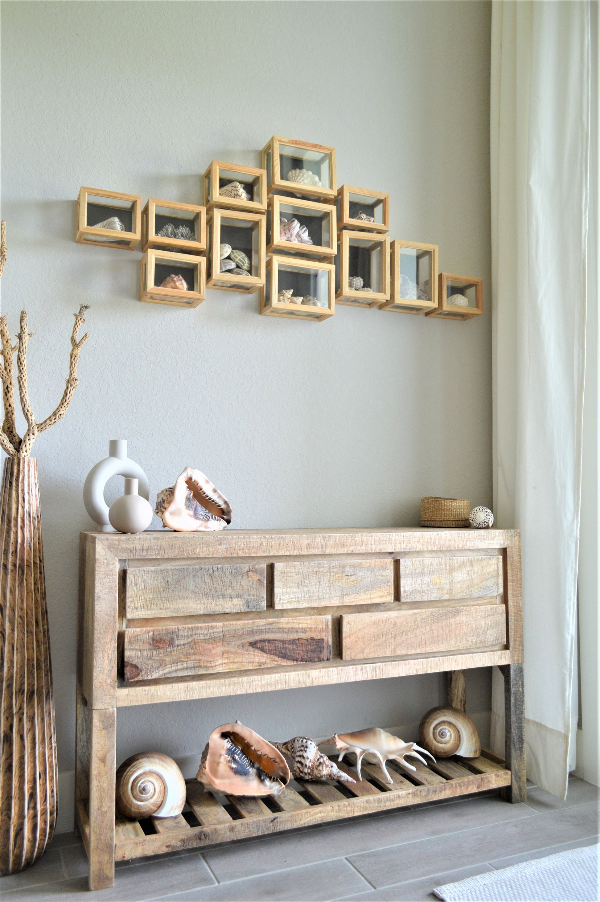 CARIBBEAN TRITON TRUMPET *All Sizes* Natural Brown White Pattered Display Seashell Coastal Beach Home Décor