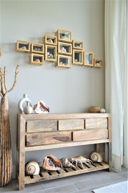 CARIBBEAN TRITON TRUMPET *All Sizes* Natural Brown White Pattered Display Seashell Coastal Beach Home Décor