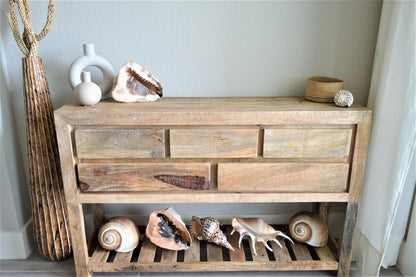 Queen Helmet Seashell Pick Size 5-9" Beach Nautical Décor Table Display Shell Gift