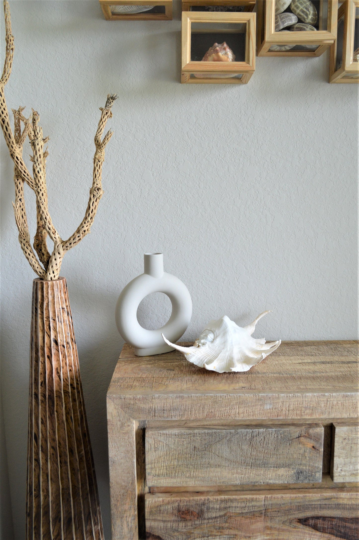 LAMBIS SPIDER CONCH Shells Giant X-Large Display Seashells Natural Peach Color Coastal Décor