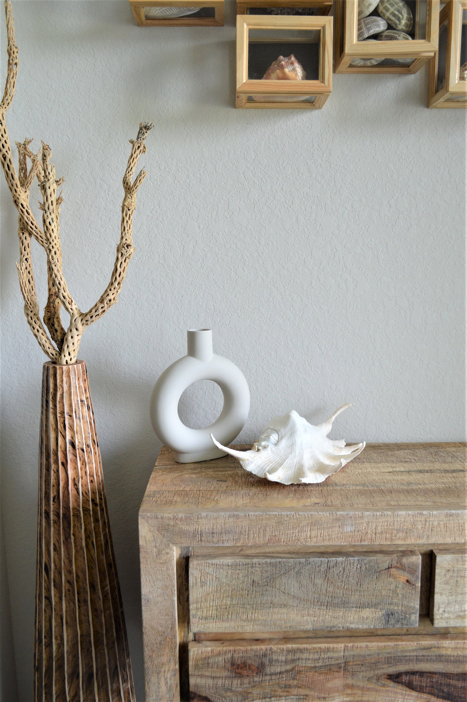 LAMBIS SPIDER CONCH Shells Giant X-Large Display Seashells Natural Peach Color Coastal Décor