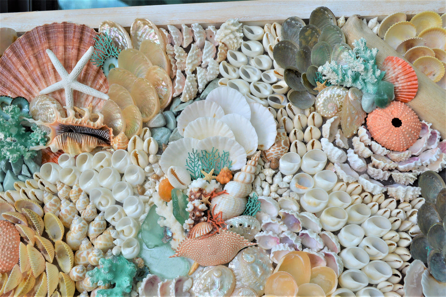 Seashell Wall Art Mermaid Collage 36x12" Handmade Coastal 3-D Dimensional Driftwood Urchins Coral White Beach Décor Turquoise & Coral