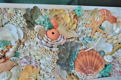 Seashell Wall Art Mermaid Collage 36x12" Handmade Coastal 3-D Dimensional Driftwood Urchins Coral White Beach Décor Turquoise & Coral