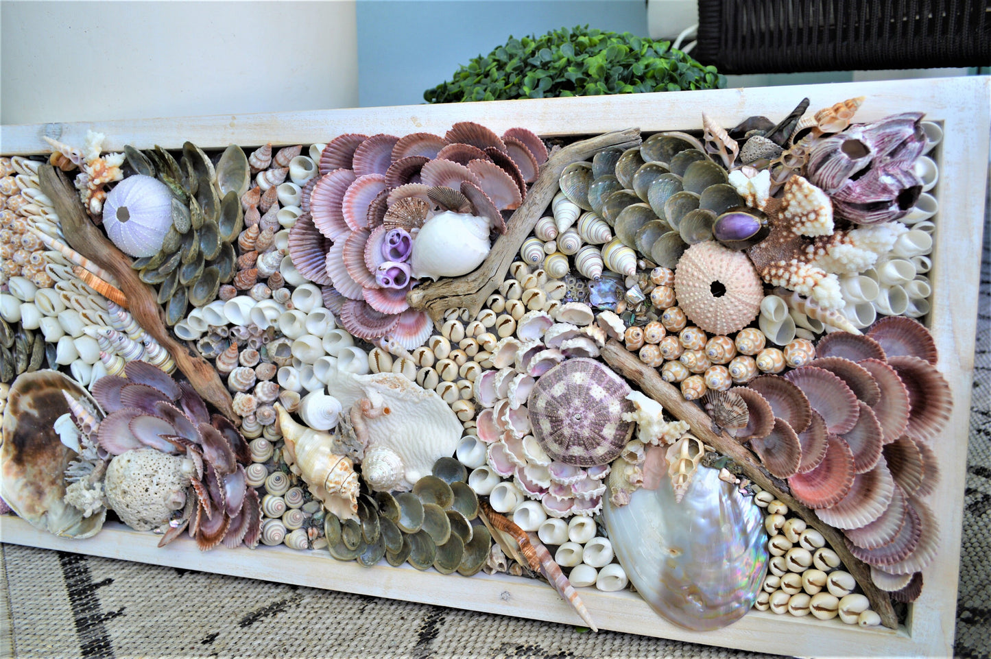 Handmade Sea Shells Coastal Wall Art 36x12" Seashells Driftwood Urchins Barnacles Coral Beach Décor Hanging Purple White Beige Seashell