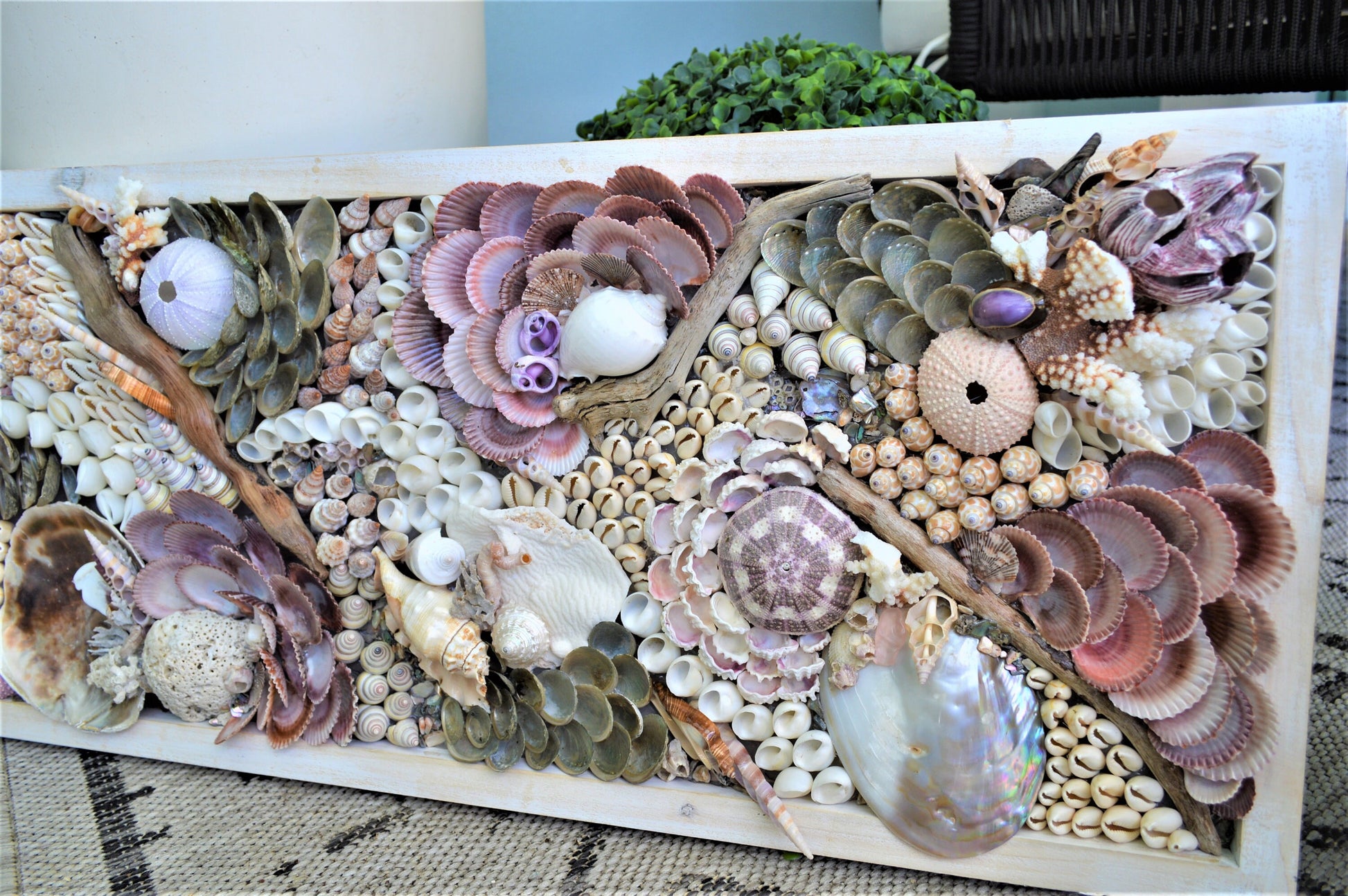 Handmade Sea Shells Coastal Wall Art 36x12" Seashells Driftwood Urchins Barnacles Coral Beach Décor Hanging Purple White Beige Seashell