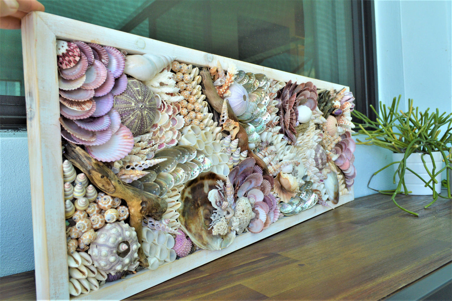Handmade Sea Shells Coastal Wall Art 36x12" Seashells Driftwood Urchins Barnacles Coral Beach Décor Hanging Purple White Beige Seashell