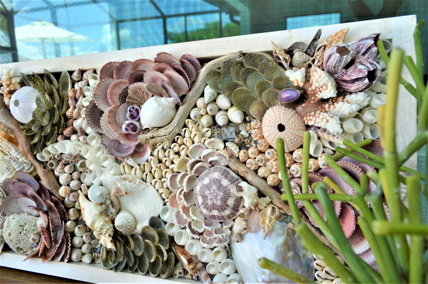 Handmade Sea Shells Coastal Wall Art 36x12" Seashells Driftwood Urchins Barnacles Coral Beach Décor Hanging Purple White Beige Seashell
