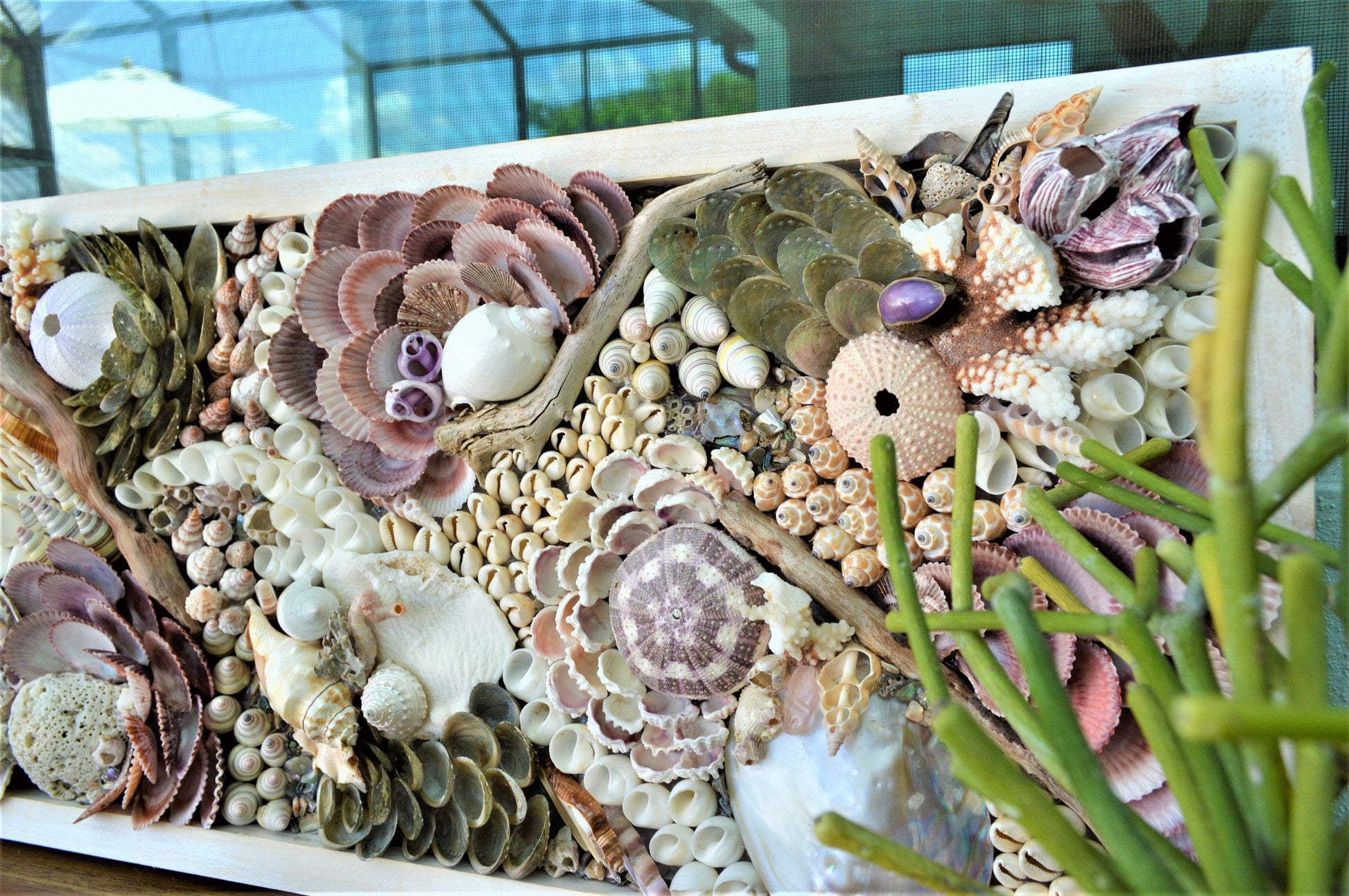 Handmade Sea Shells Coastal Wall Art 36x12" Seashells Driftwood Urchins Barnacles Coral Beach Décor Hanging Purple White Beige Seashell