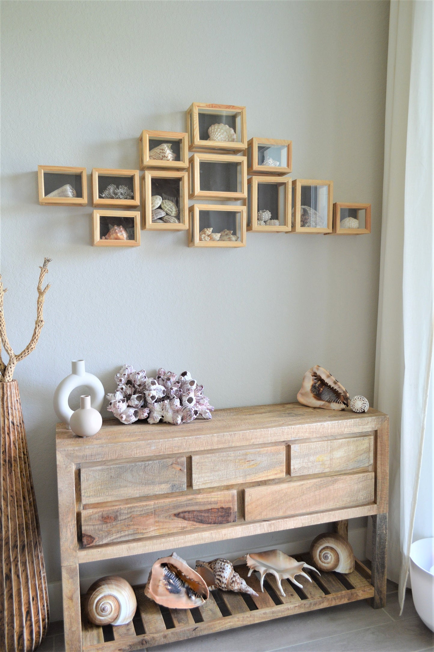 XS-XL 3-14" You Choose Size Purple Barnacle Clusters Coastal Beach Décor Nautical Display Air Planter Holder Free Shipping