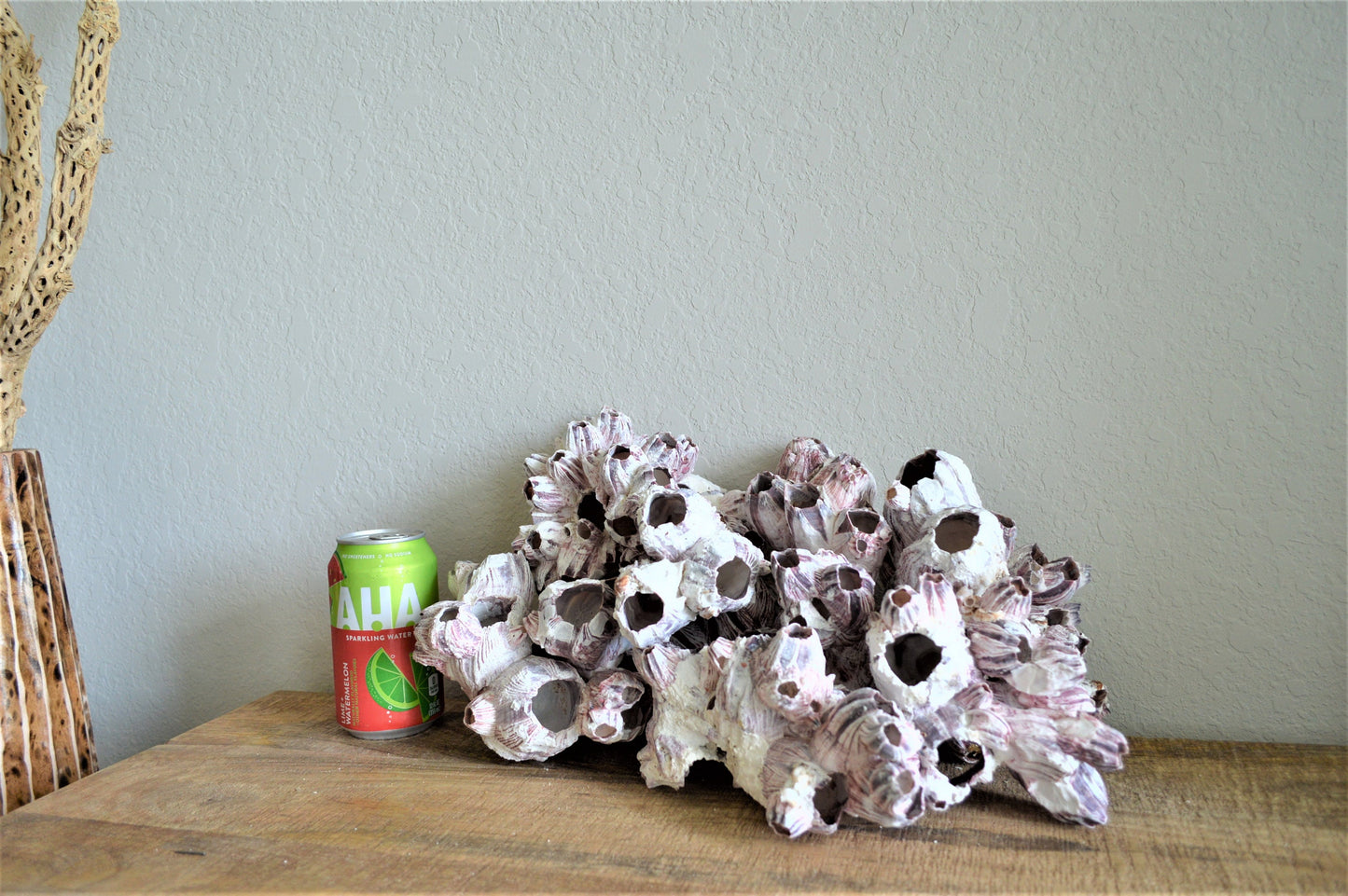 Purple Barnacle Clusters 3-14" *You Choose Size* Coastal Décor Air Planter Holder
