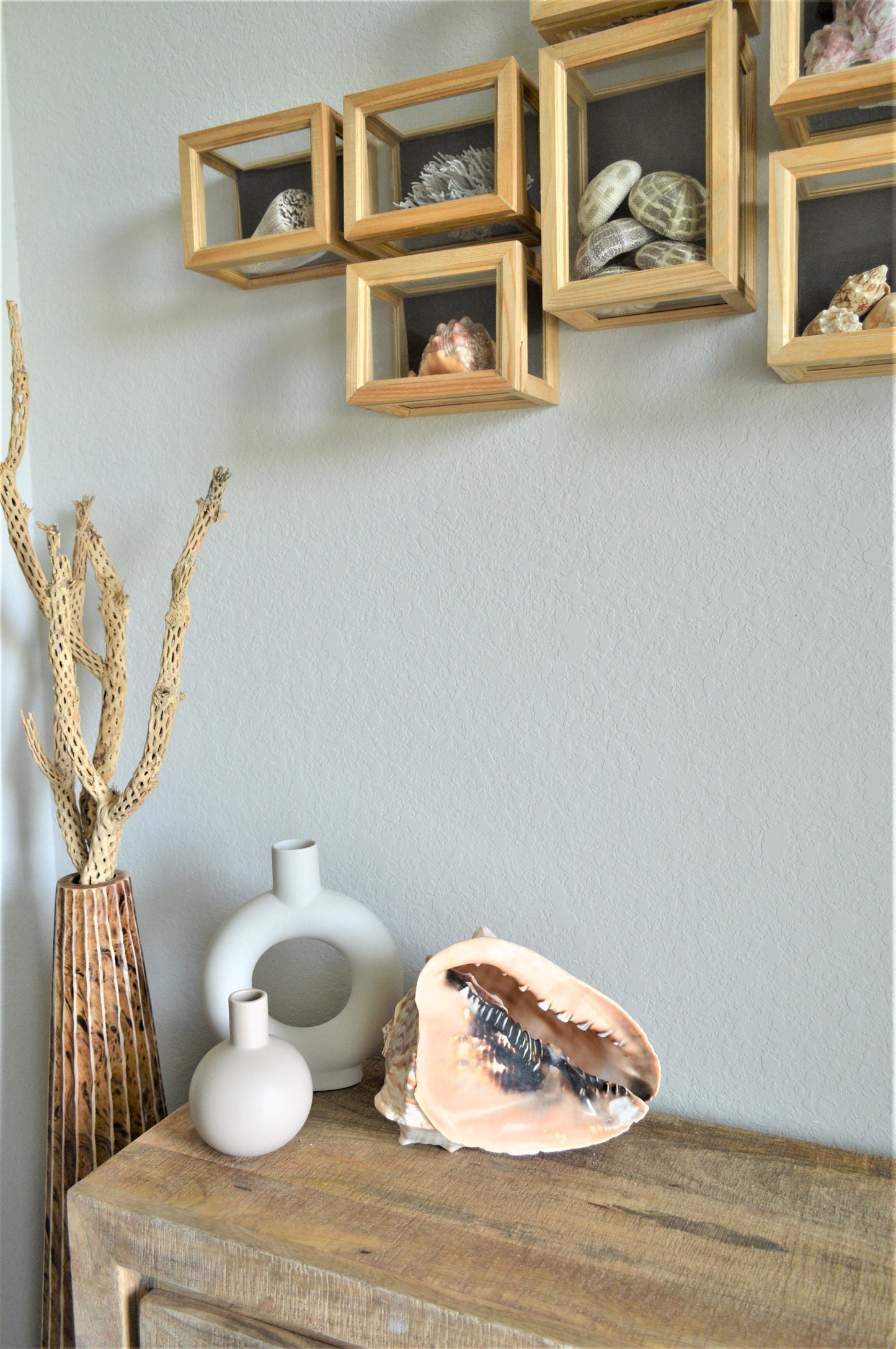 Queen Helmet Seashell Pick Size 5-9" Beach Nautical Décor Table Display Shell Gift